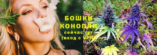 стаф Михайловск