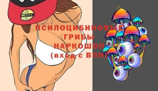 стаф Михайловск