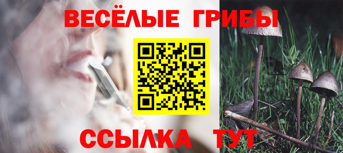 Псилоцибиновые грибы мухоморы  Вход с VPN  Химки  Псилоцибиновые грибы Cubensis 