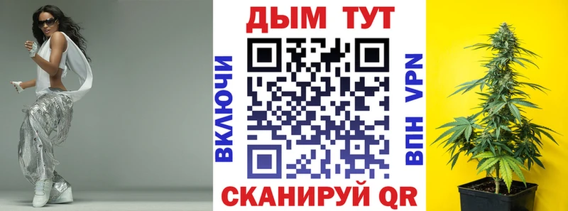 Канабис сатива Химки